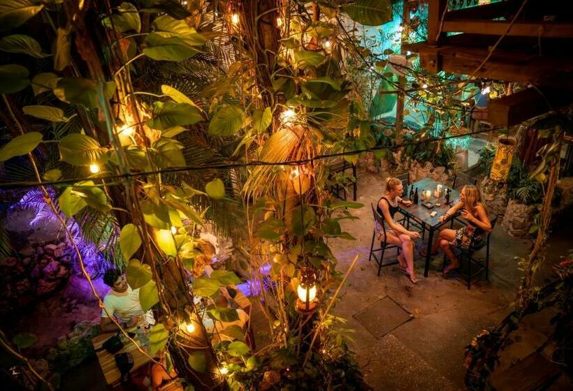 تختخواب در اتاق مشترک, Los Amigos Hostel