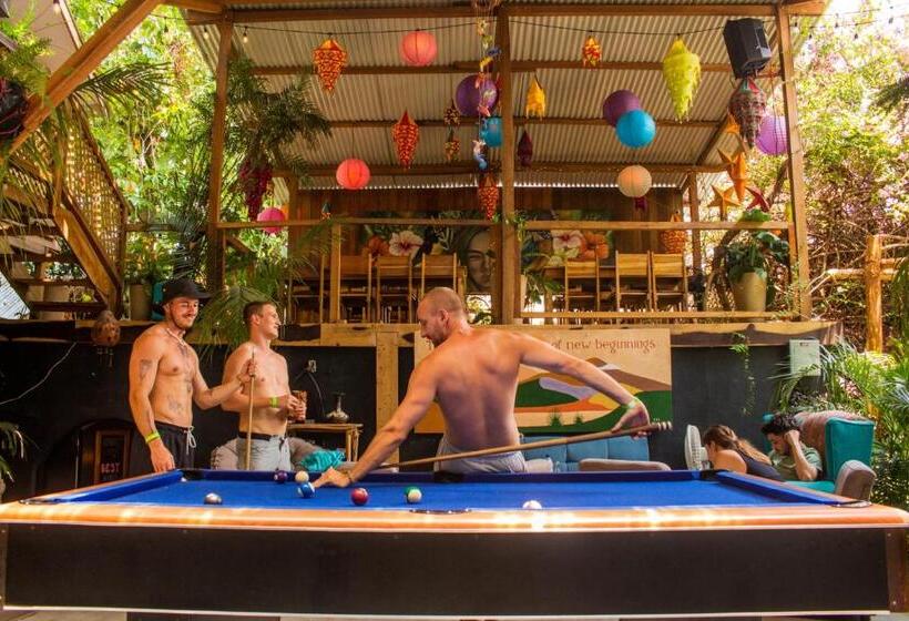 تختخواب در اتاق مشترک, Los Amigos Hostel