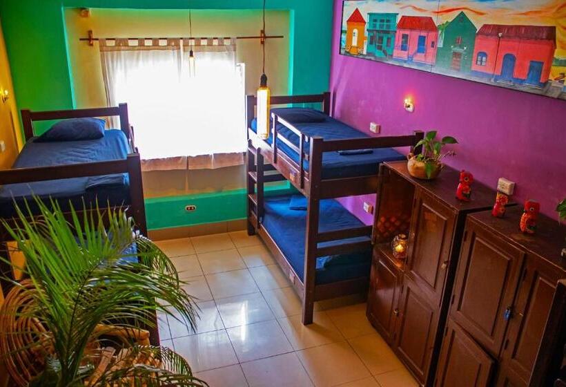 تختخواب در اتاق مشترک, Los Amigos Hostel