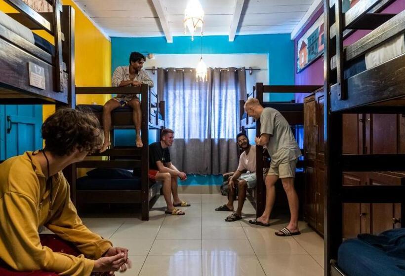 تختخواب در اتاق مشترک, Los Amigos Hostel