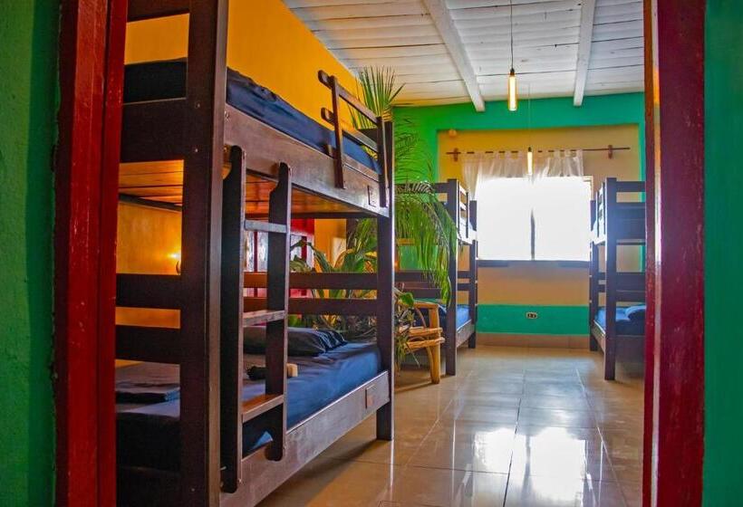تختخواب در اتاق مشترک, Los Amigos Hostel
