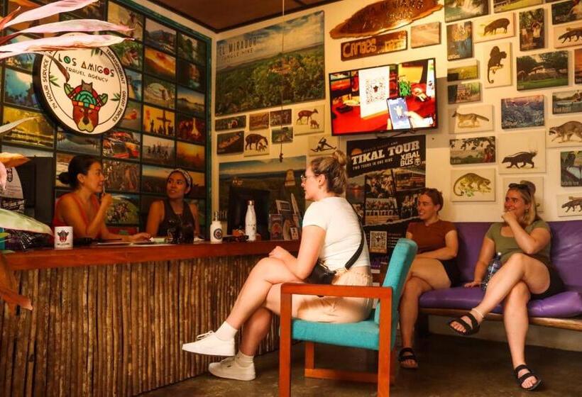 تختخواب در اتاق مشترک, Los Amigos Hostel