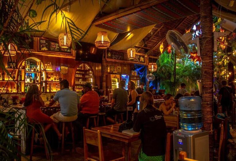 تختخواب در اتاق مشترک, Los Amigos Hostel