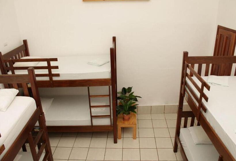 تختخواب در اتاق مشترک, Los Amigos Hostel