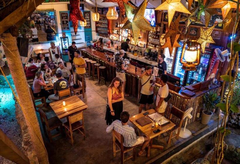 آپارتمان 1 خوابه, Los Amigos Hostel