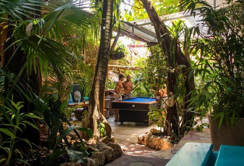 آپارتمان 1 خوابه, Los Amigos Hostel