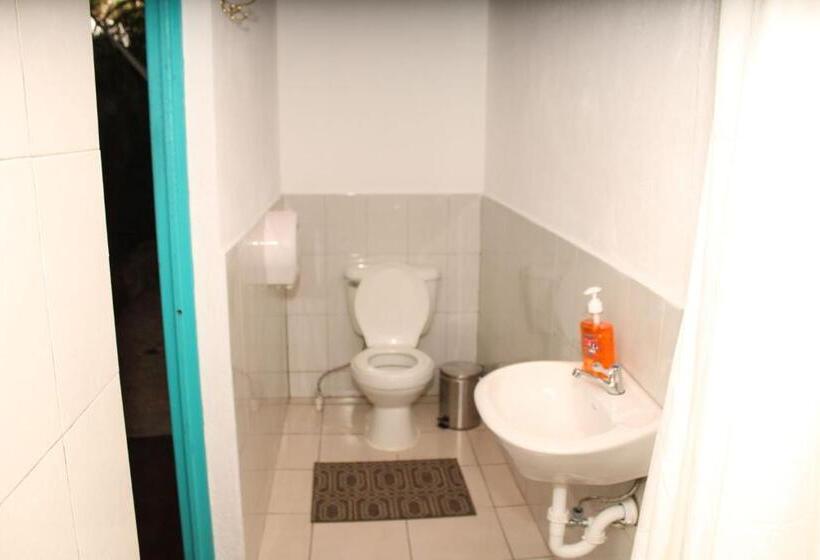 آپارتمان 1 خوابه, Los Amigos Hostel