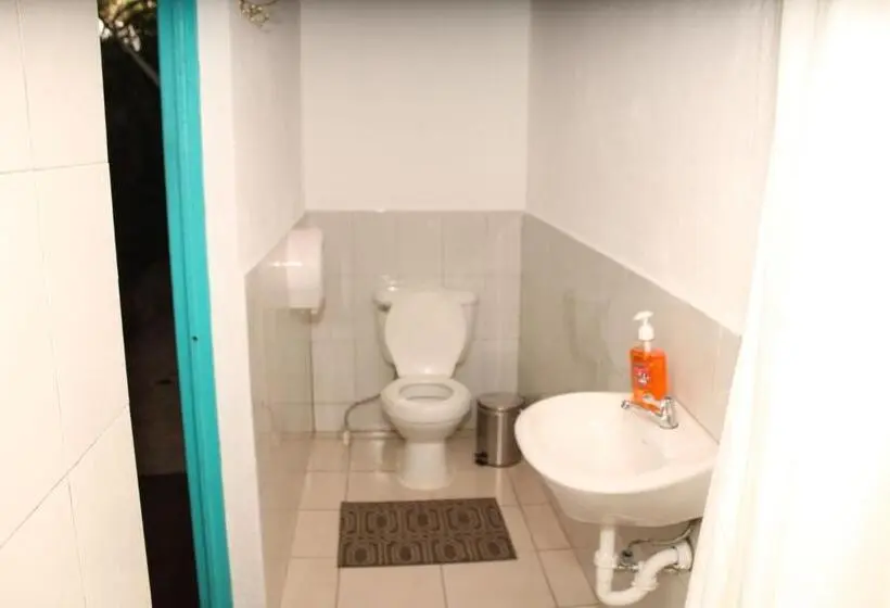 آپارتمان 1 خوابه, Los Amigos Hostel