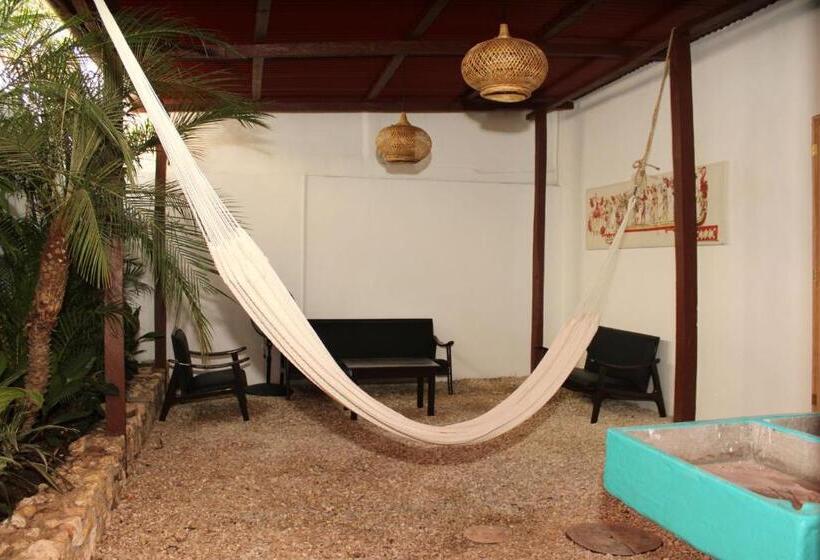 آپارتمان 1 خوابه, Los Amigos Hostel