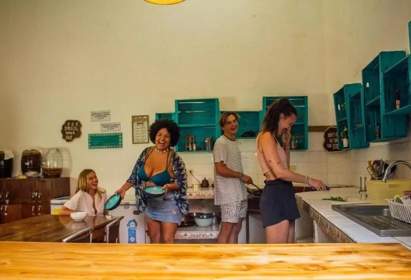 آپارتمان 1 خوابه با تراس, Los Amigos Hostel