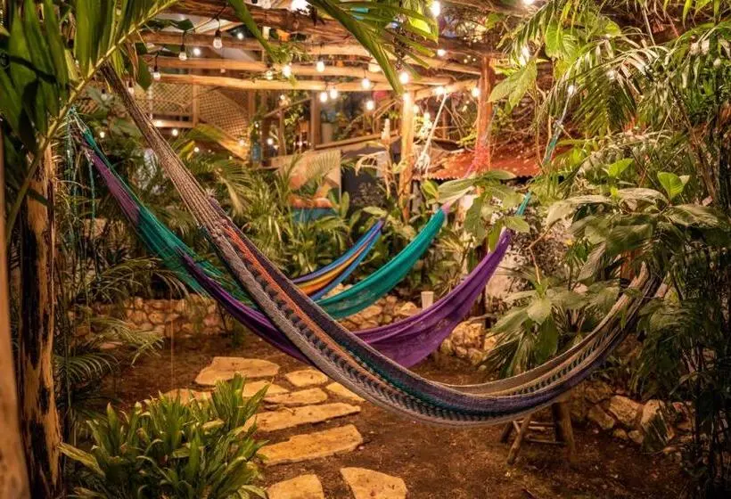 آپارتمان 1 خوابه با تراس, Los Amigos Hostel