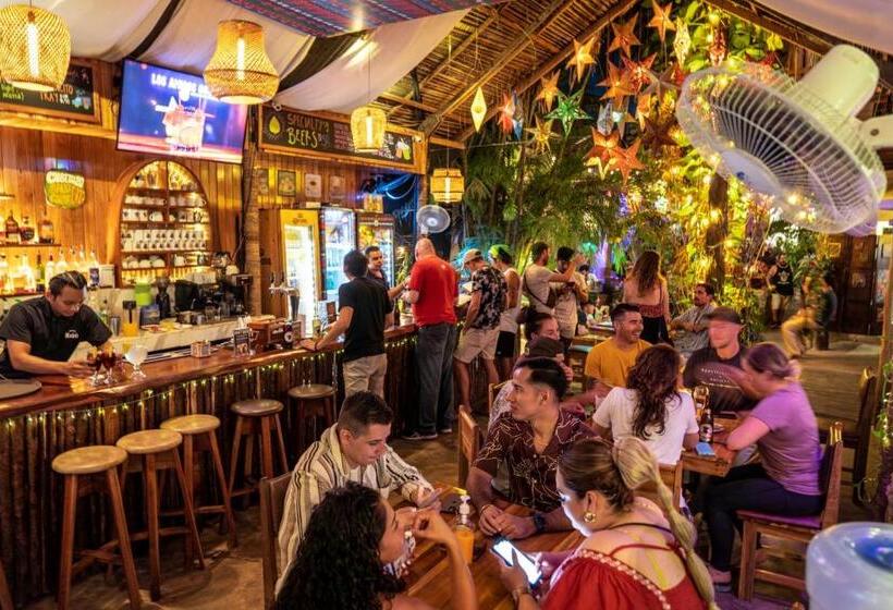 آپارتمان 1 خوابه با تراس, Los Amigos Hostel