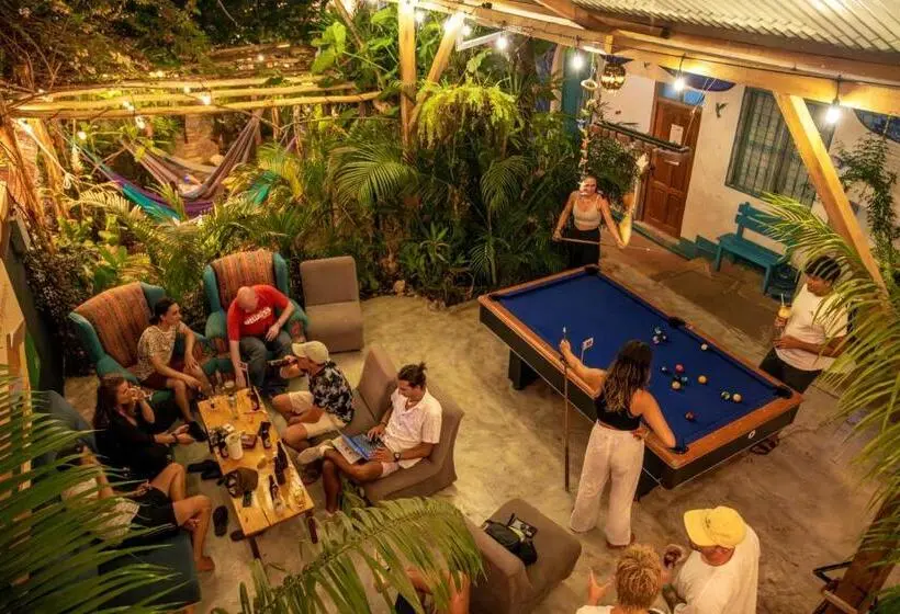 آپارتمان 1 خوابه با تراس, Los Amigos Hostel