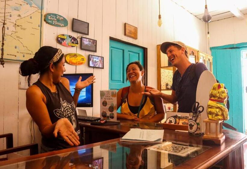 آپارتمان 1 خوابه با تراس, Los Amigos Hostel