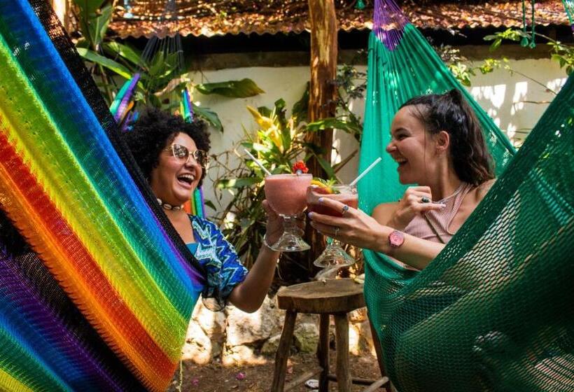 اتاق لوکس با تخت بزرگ, Los Amigos Hostel
