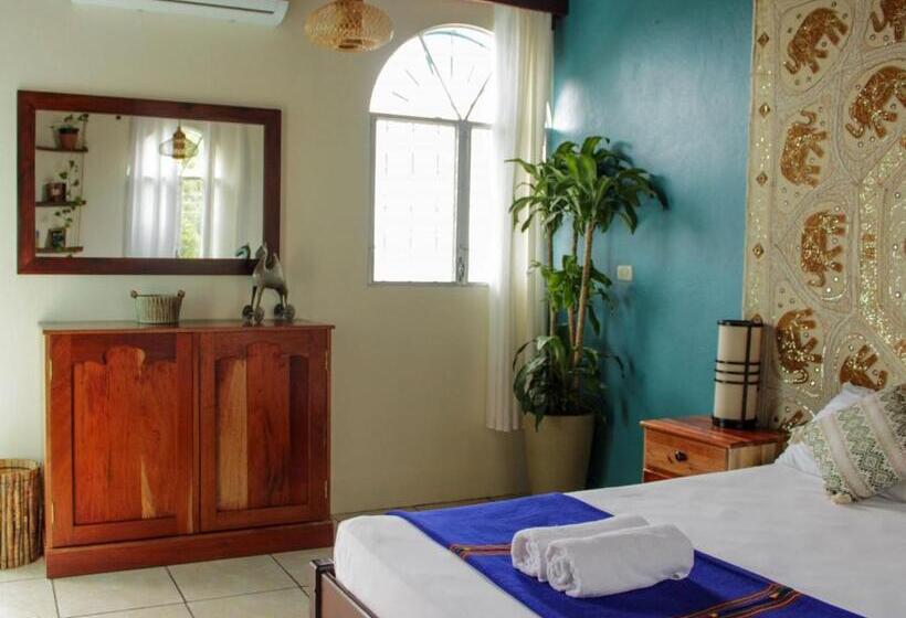 اتاق لوکس, Los Amigos Hostel