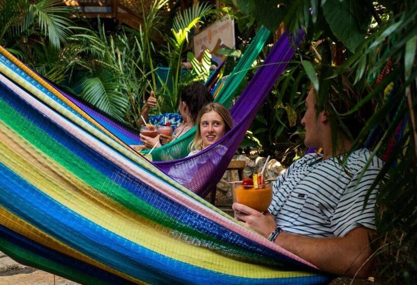 اتاق اکونومی, Los Amigos Hostel