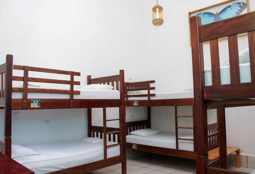تختخواب در اتاق مشترک, Los Amigos Hostel