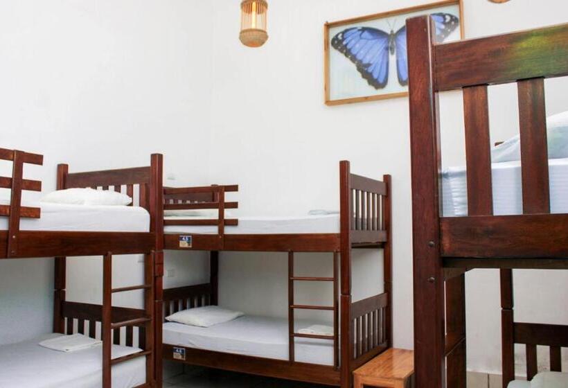 تختخواب در اتاق مشترک, Los Amigos Hostel