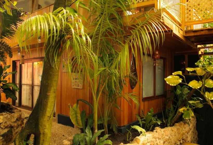 تختخواب در اتاق مشترک, Los Amigos Hostel