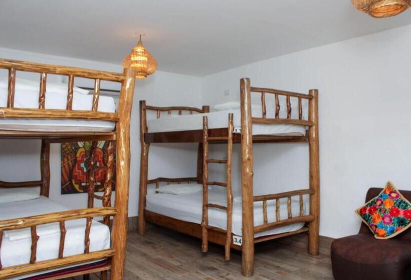 تختخواب در اتاق مشترک, Los Amigos Hostel
