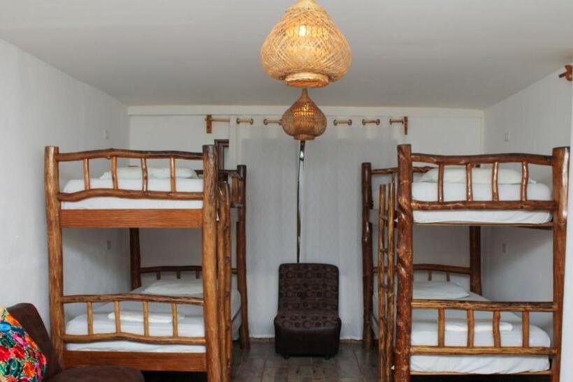 تختخواب در اتاق مشترک, Los Amigos Hostel