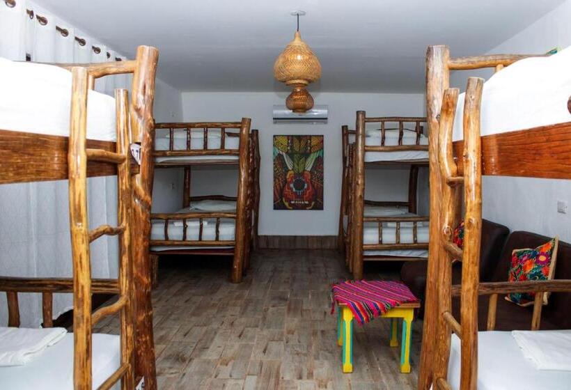 تختخواب در اتاق مشترک, Los Amigos Hostel