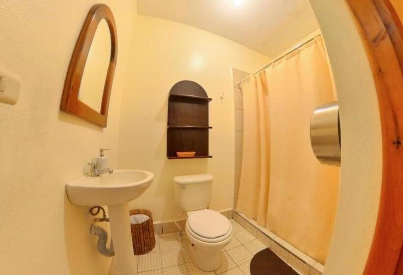 اتاق لوکس, Los Amigos Hostel