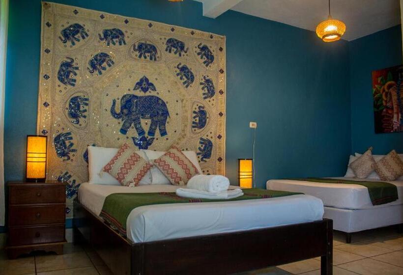 اتاق لوکس, Los Amigos Hostel