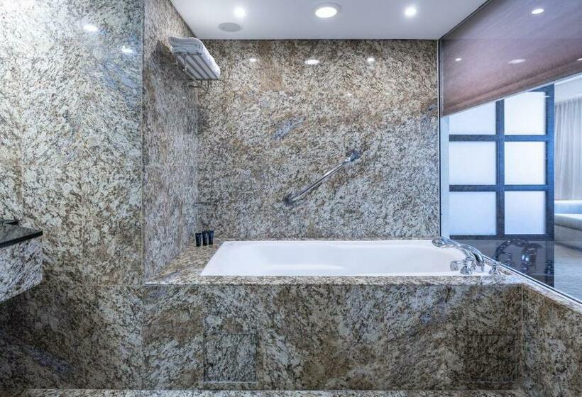 اتاق استاندارد, Eurobuilding Hotel & Suites Caracas