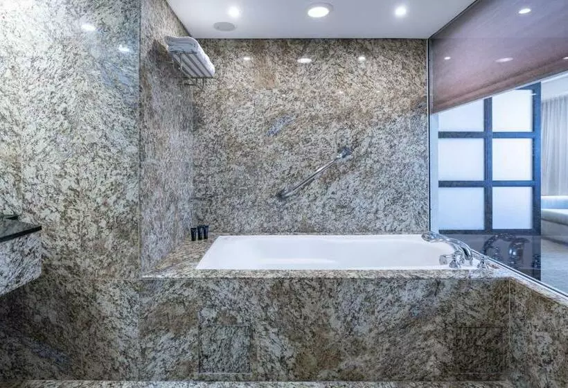 اتاق استاندارد, Eurobuilding Hotel & Suites Caracas