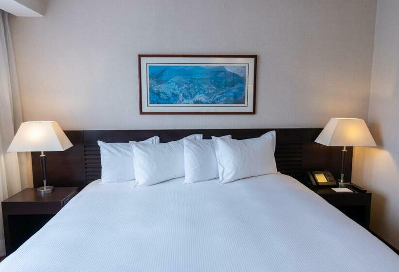 חדר דלוקס, Eurobuilding Hotel & Suites Caracas