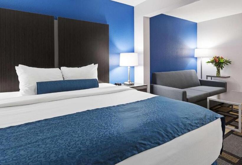 스탠다드 룸 킹사이즈 침대, Best Western Plus Birmingham Inn & Suites