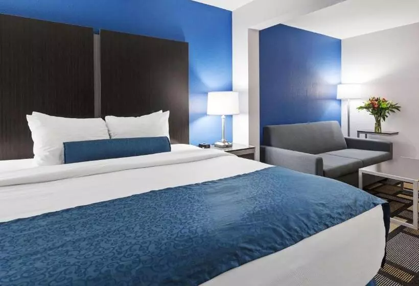 キングサイズベッドのスタンダードルーム, Best Western Plus Birmingham Inn & Suites