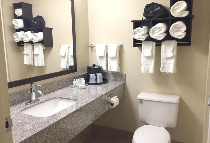 스위트, Best Western Plus Birmingham Inn & Suites
