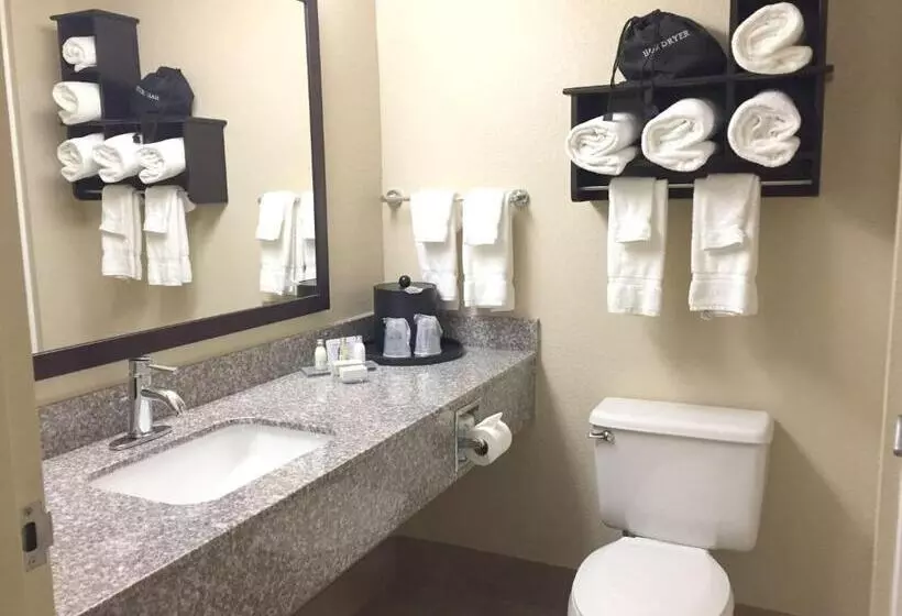 キングサイズベッドのスイートルーム, Best Western Plus Birmingham Inn & Suites