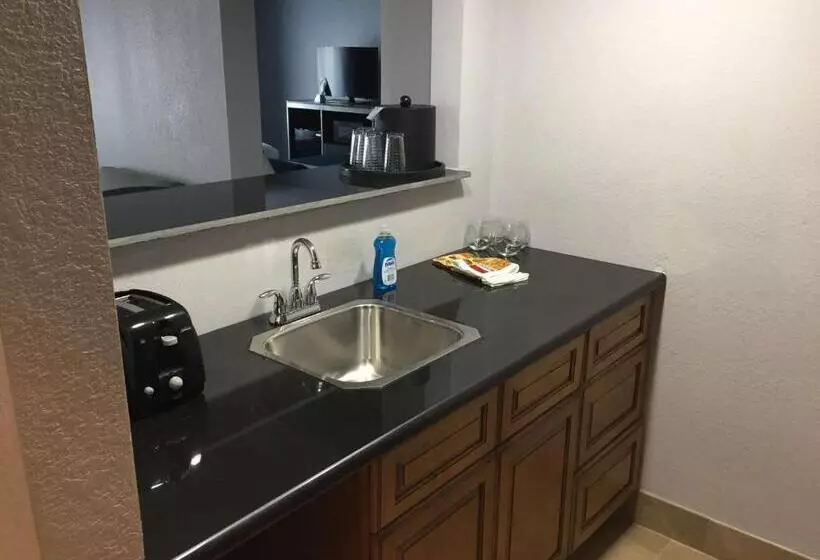 キングサイズベッドのスイートルーム, Best Western Plus Birmingham Inn & Suites