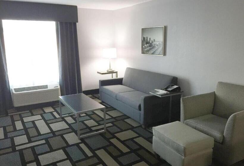 스위트 킹사이즈 침대, Best Western Plus Birmingham Inn & Suites