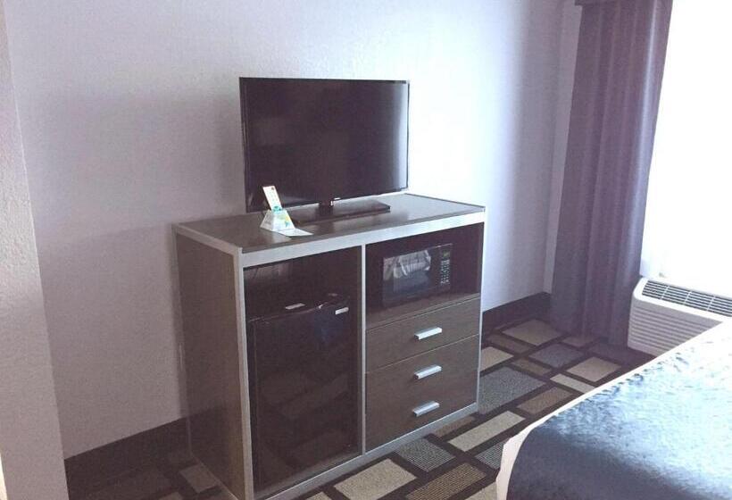 스위트 킹사이즈 침대, Best Western Plus Birmingham Inn & Suites