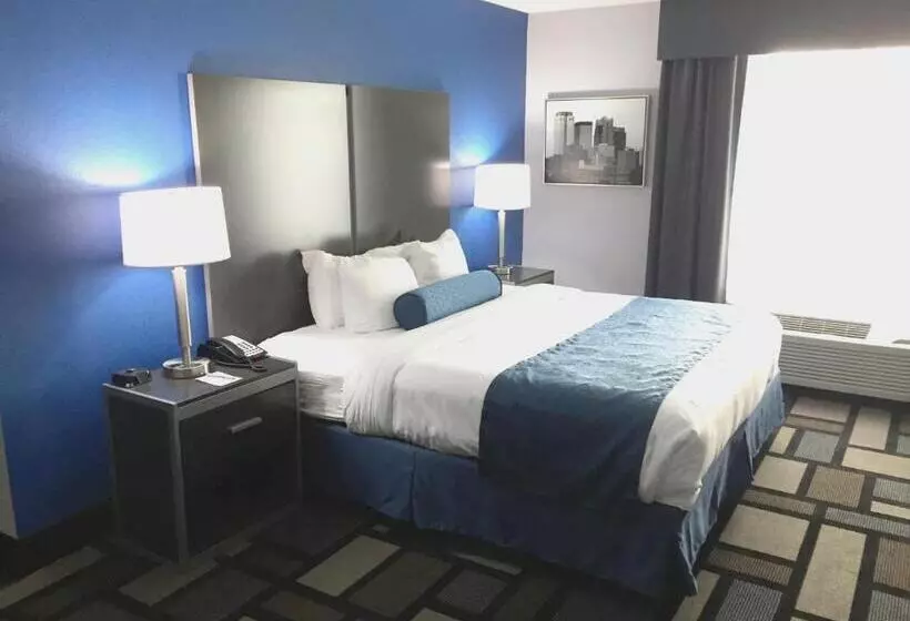身障者適用キングサイズベッドルーム, Best Western Plus Birmingham Inn & Suites