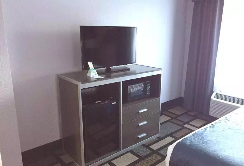 身障者適用スタンダードルーム, Best Western Plus Birmingham Inn & Suites