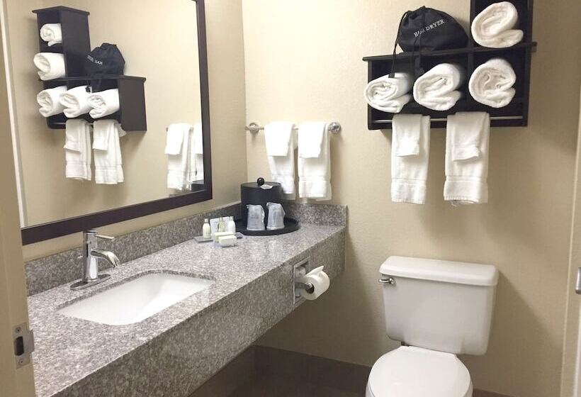 스위트, Best Western Plus Birmingham Inn & Suites