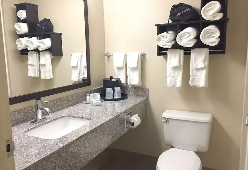 スイート, Best Western Plus Birmingham Inn & Suites