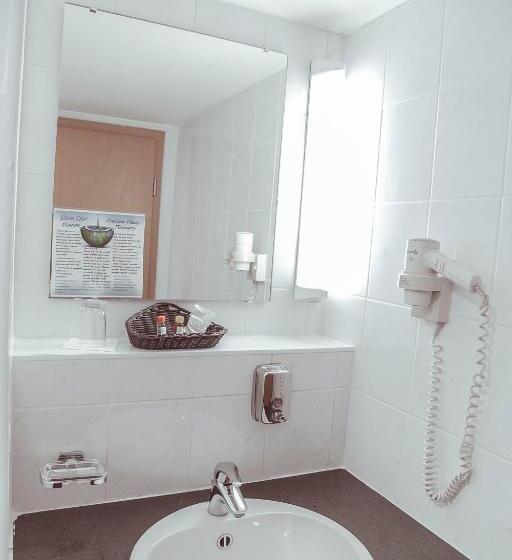 اتاق استاندارد یک نفره, Shodlik Palace