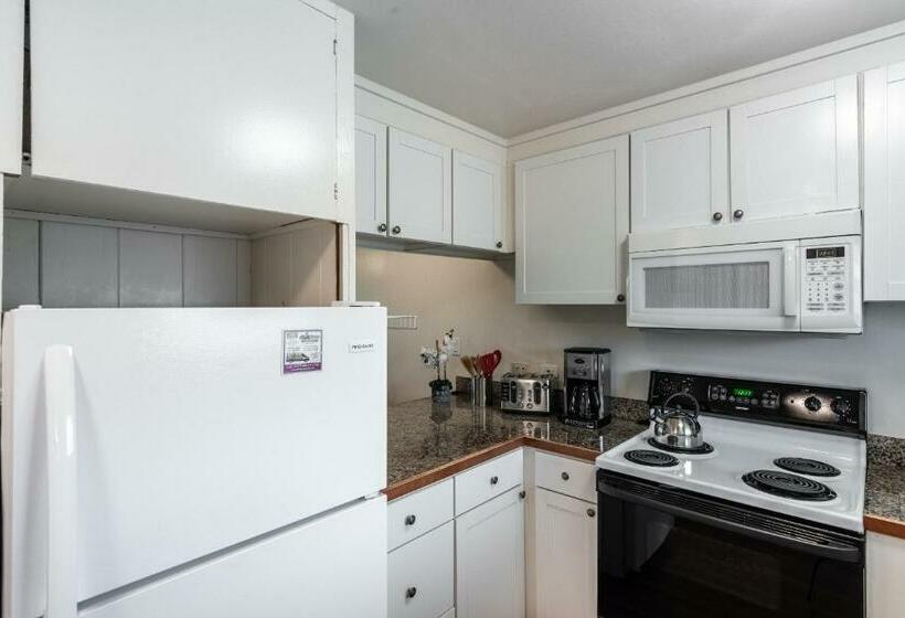 شقة ديلوكس غرفة واحدة, Lahaina Wonderful Condos