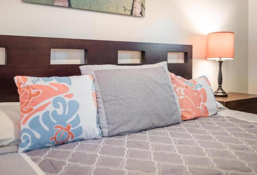 شقة ديلوكس غرفة واحدة, Lahaina Wonderful Condos