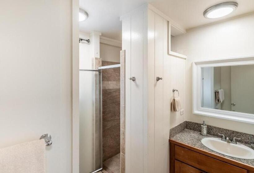 شقة ديلوكس غرفة واحدة, Lahaina Wonderful Condos