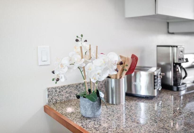 شقة ديلوكس غرفة واحدة, Lahaina Wonderful Condos