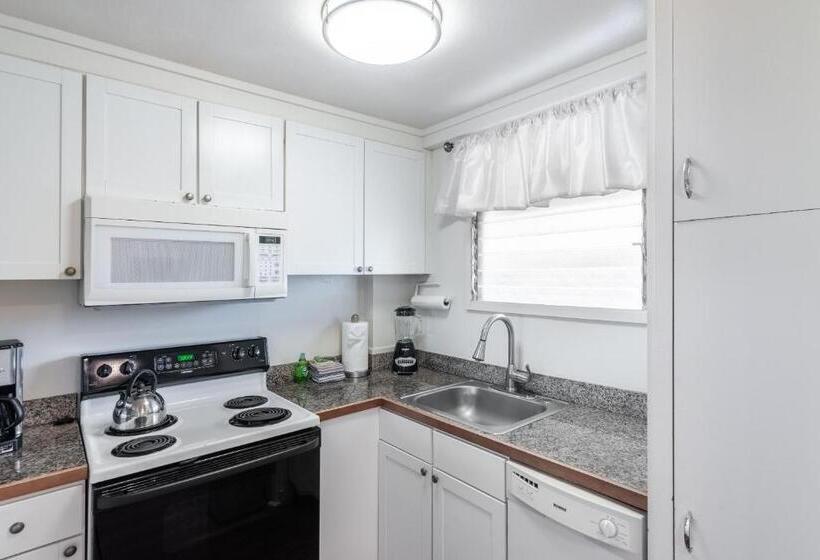 Апартаменты Deluxe 1 Спальня, Lahaina Wonderful Condos
