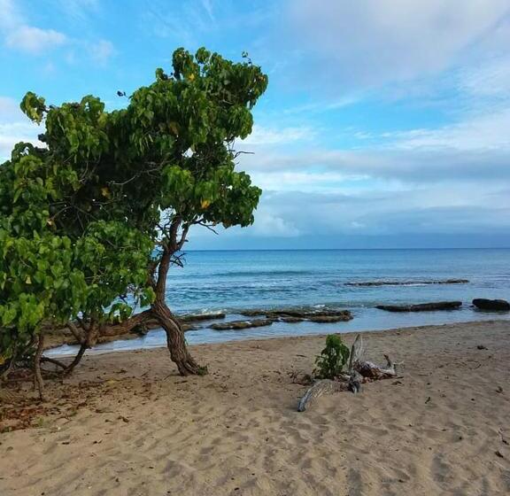 شقة ديلوكس غرفة واحدة, Lahaina Wonderful Condos